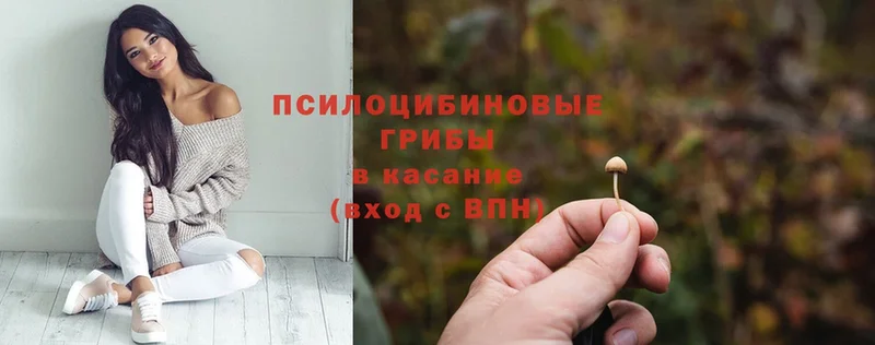 MEGA ССЫЛКА  Бутурлиновка  Псилоцибиновые грибы Psilocybe 